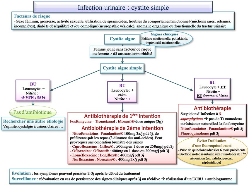 traitement cystite simple
