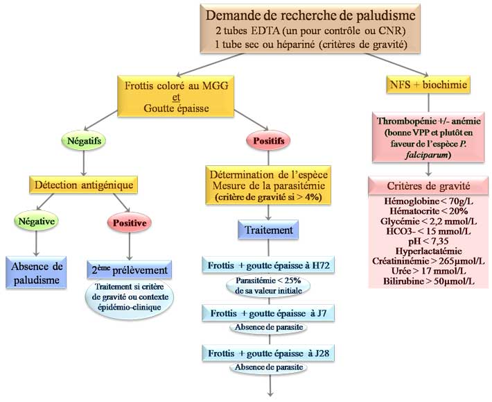 diagnostic biologique paludisme