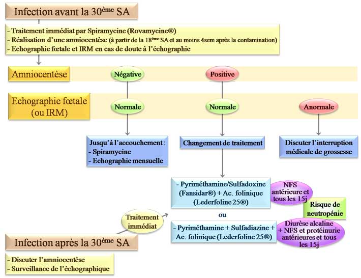Toxoplasmose : prise en charge d'une infection au cours de la grossesse