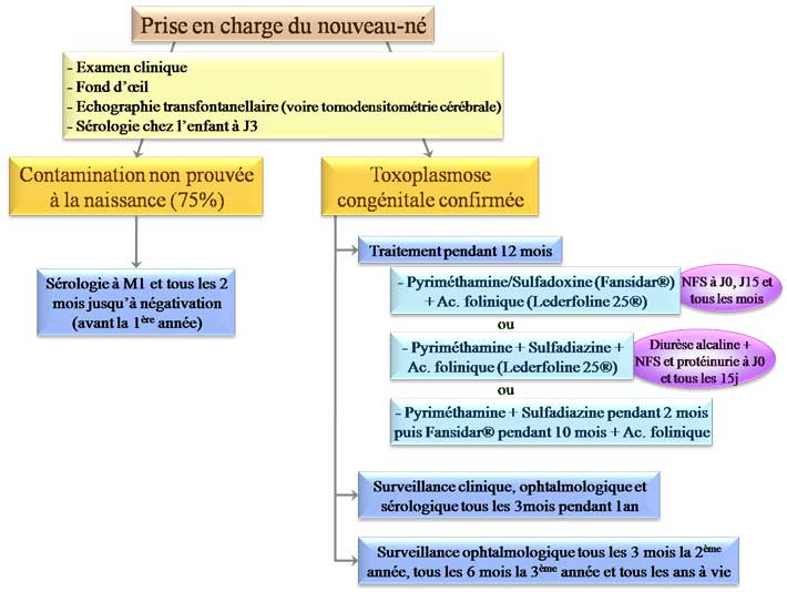 toxoplasmose : prise en charge du nouveau-né