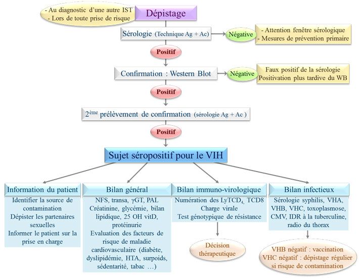 Dépistage d'une infection par le VIH